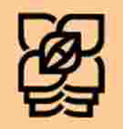 hebe society logo - abriachan nurseries
